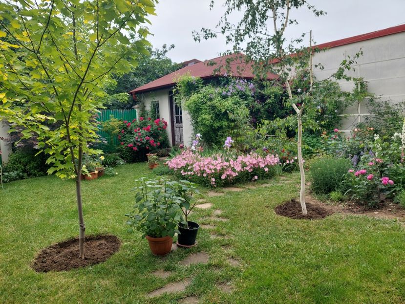  - 2024 mai continuare