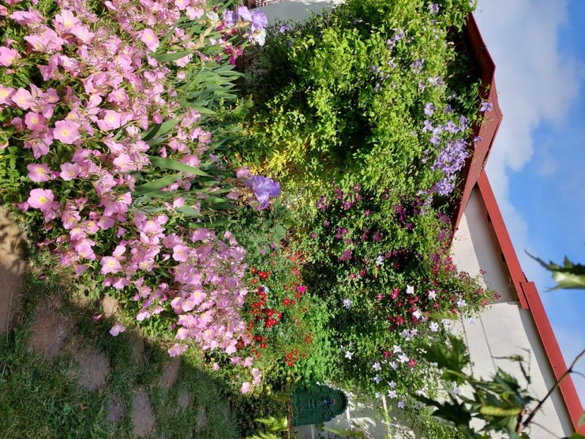  - 2024 mai continuare