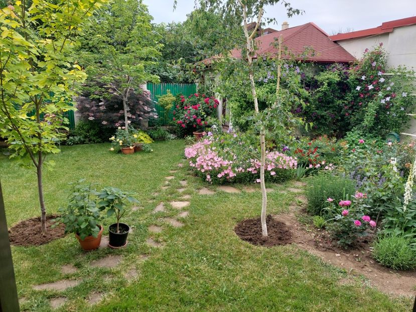  - 2024 mai continuare