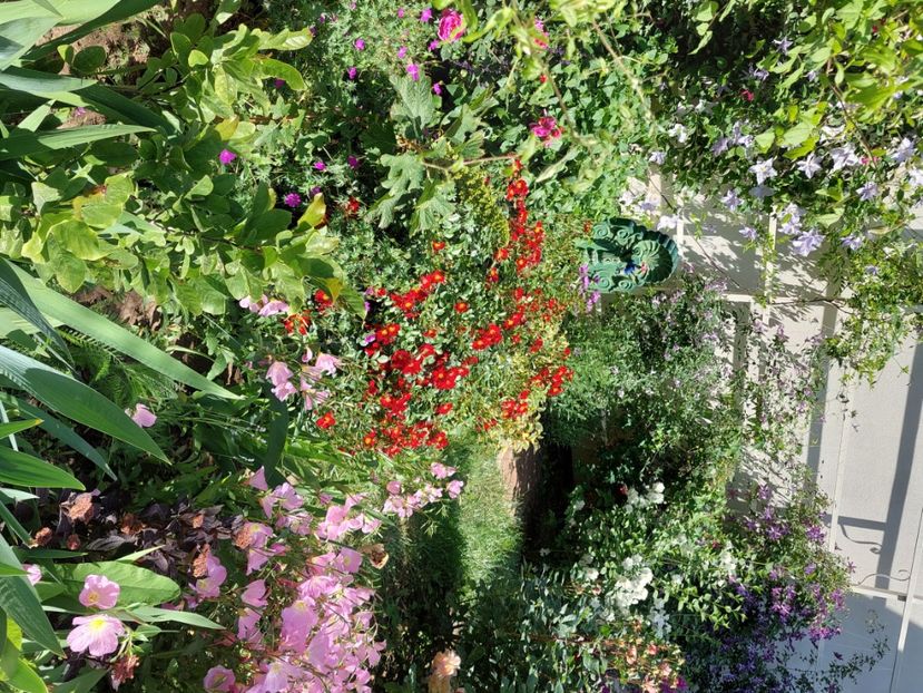  - 2024 mai continuare