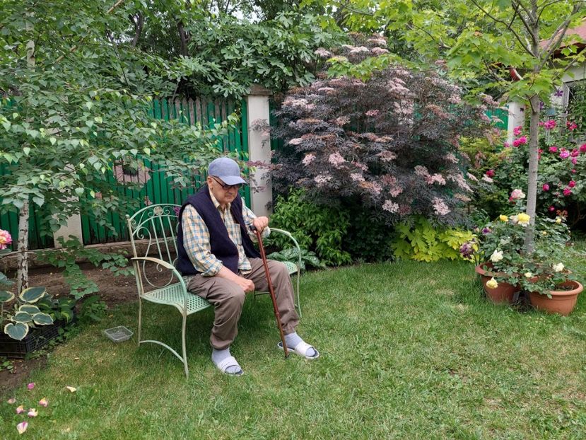  - 2024 mai continuare