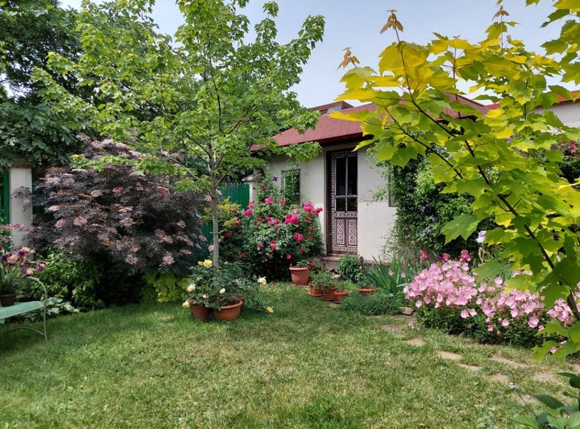  - 2024 mai continuare