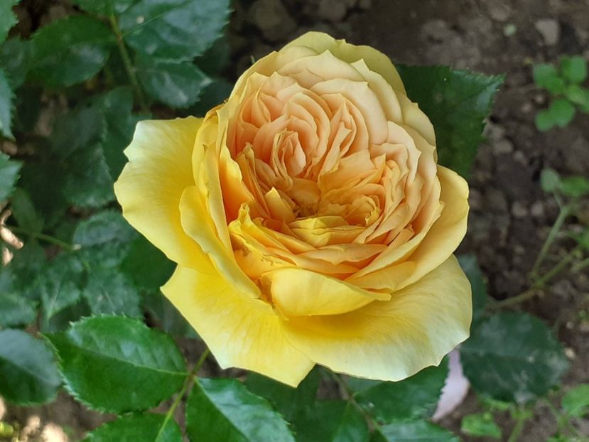  - 100 Idees Jardin