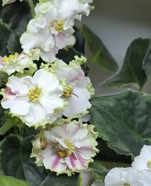  - KO - Orlovchanka 2