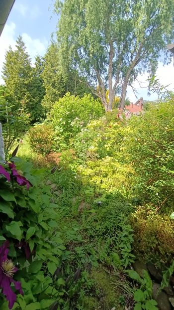 Img.2025.06.11 - Otterndorf