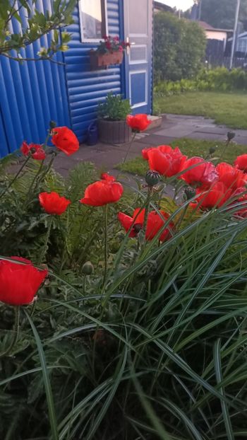 Img.2025.06.12 - Otterndorf