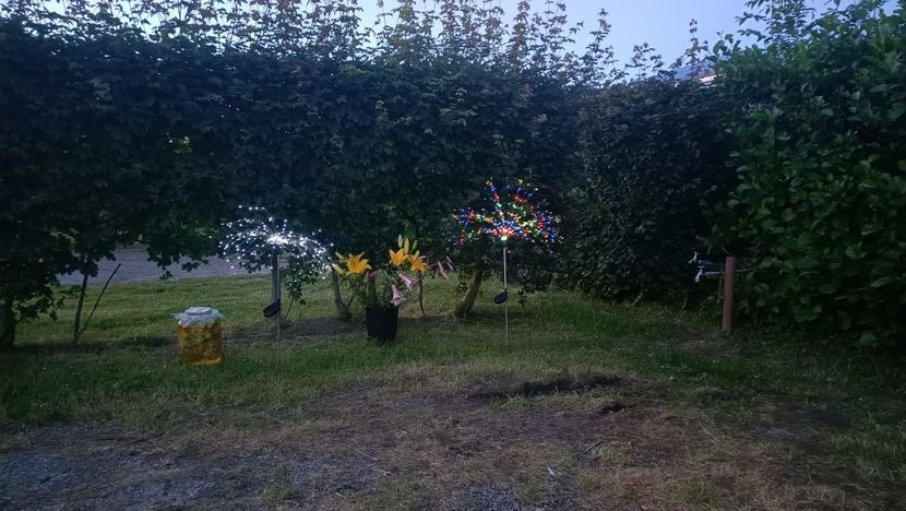 Img.2025.06.12 - Otterndorf