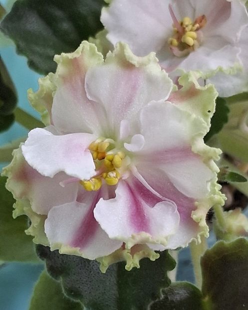  - KO - Orlovchanka 2