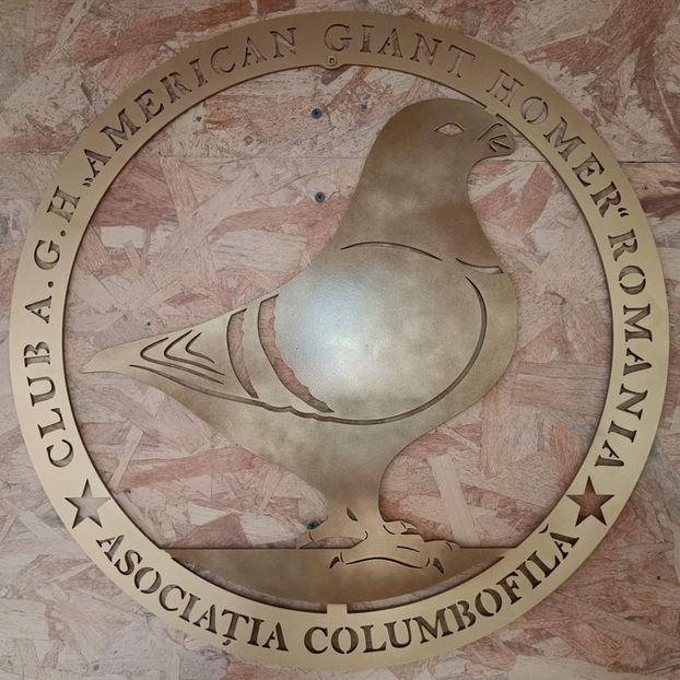  - CONTACT 0032466046451 tel sau whatsApp