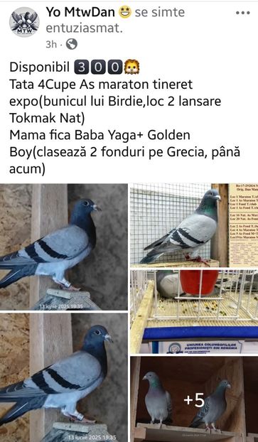 Screenshot_20250613_233416_Facebook - DE VANZARE