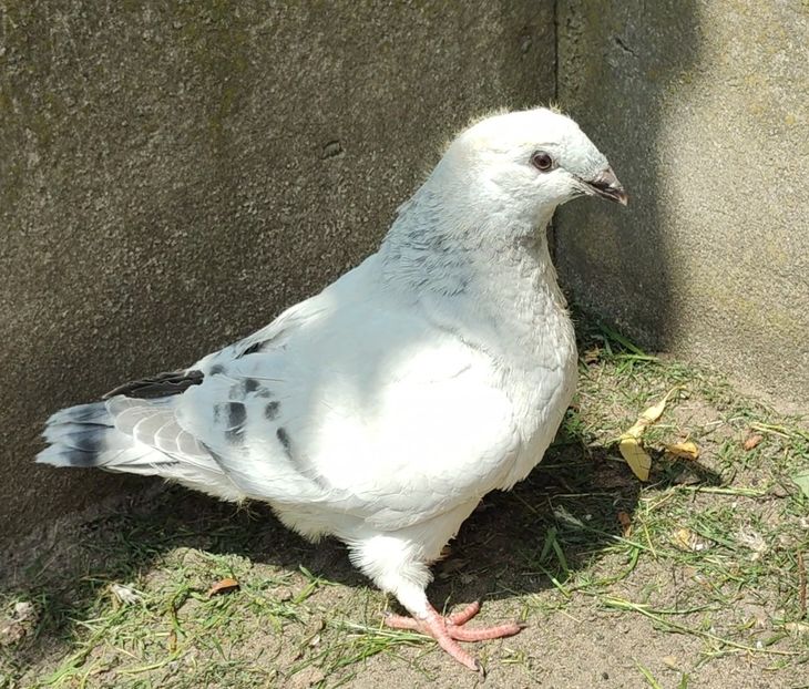 PL25-JRS6 - c- MLODE 2025 YOUTH