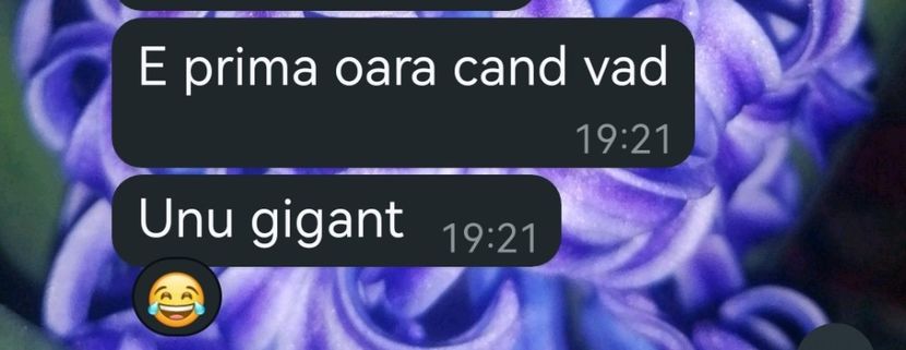 That`s what she said. Sunt flatată @beourpower. - Și dacă nu pun nume - ce?