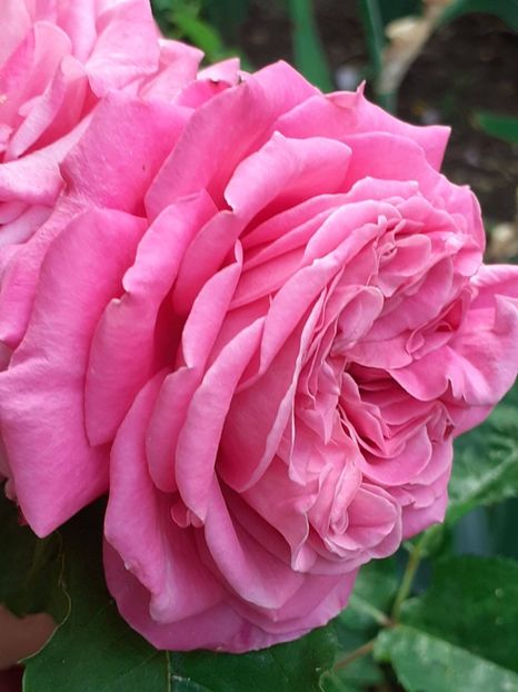  - Agnes 2021 - 2022-2023