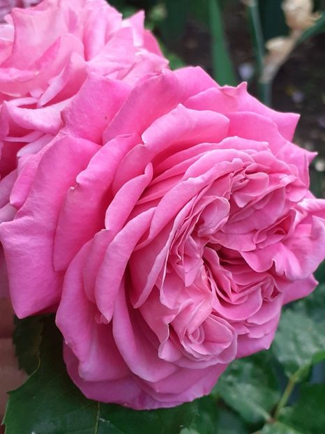  - Agnes 2021 - 2022-2023