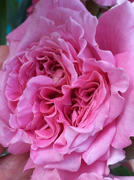  - Agnes 2021 - 2022-2023