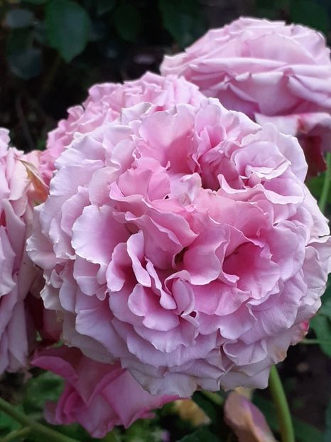 20250616_193317(0) - Agnes 2021 - 2022-2023