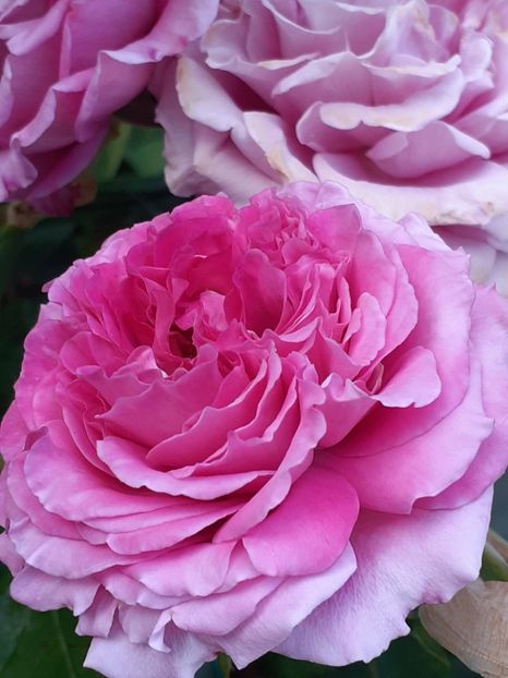  - Agnes 2021 - 2022-2023