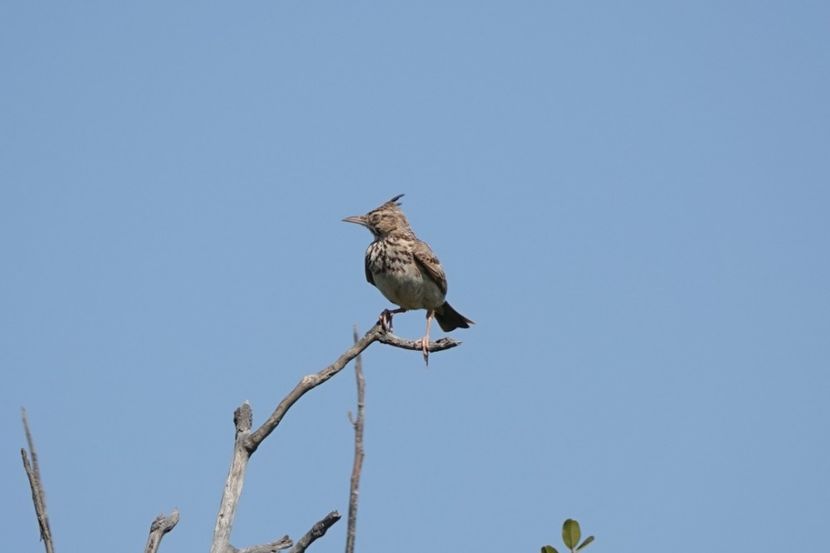  - Grecia - Creta Iunie 2025