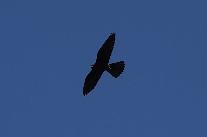  - Grecia - Creta Iunie 2025