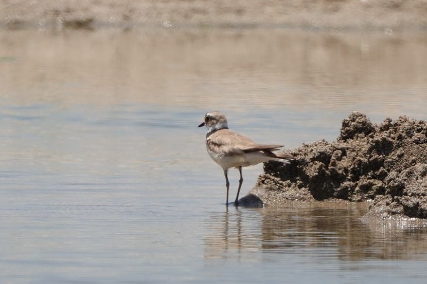  - Grecia - Creta Iunie 2025