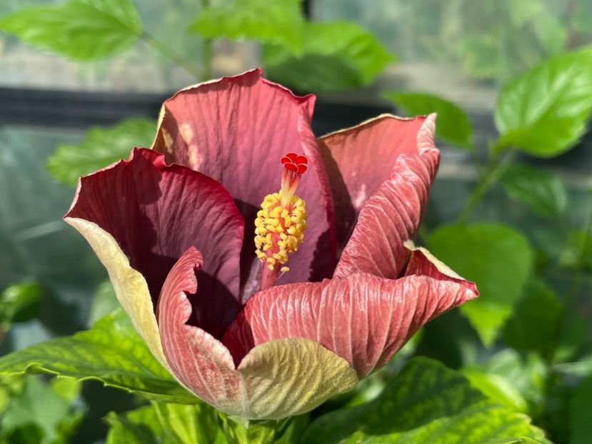  - Luv -Posog- Memories