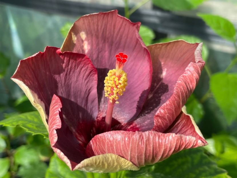  - Luv -Posog- Memories