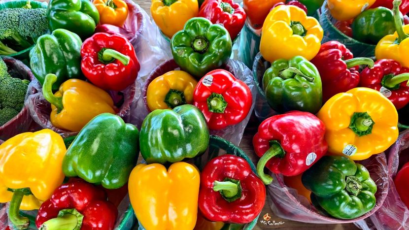 Chili peppers - J - VEGS - FRUITS- Legume Fructe