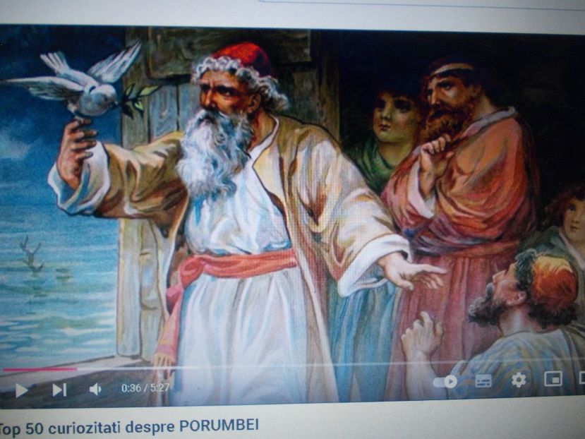 NOE CU PORUMBELUL - PIATRA NEAMT ORASUL MEU SI INPREJURIMI