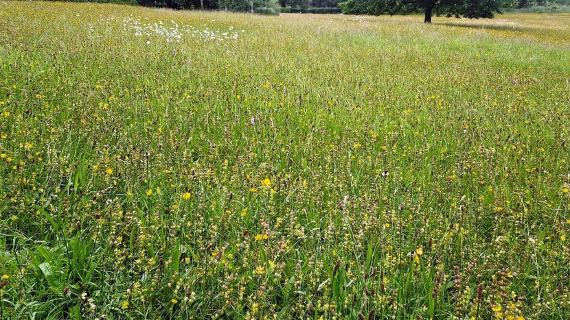  - Burrow Farm Gardens
