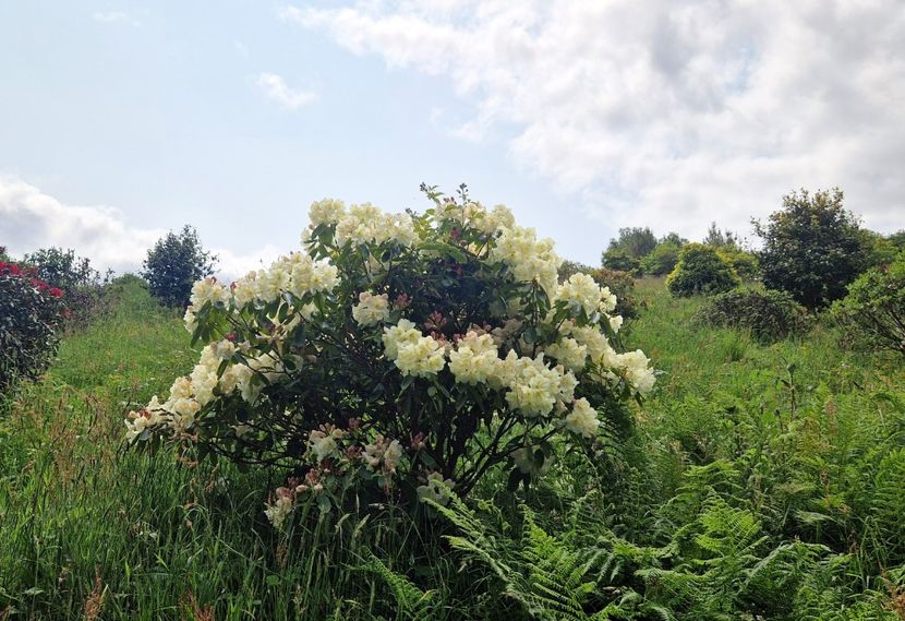 - Fast Rabbit Farm Gardens