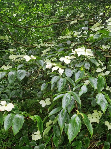  - Fast Rabbit Farm Gardens