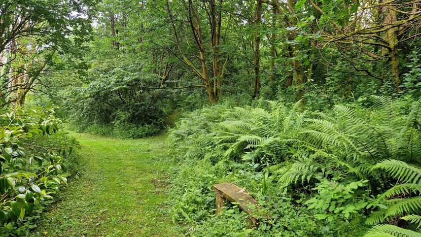  - Fast Rabbit Farm Gardens