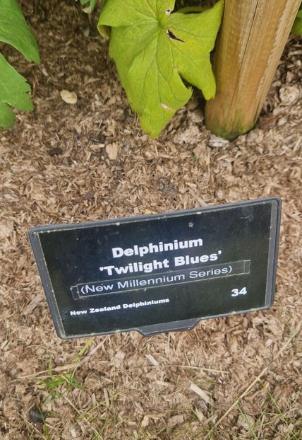  - RHS Wisley
