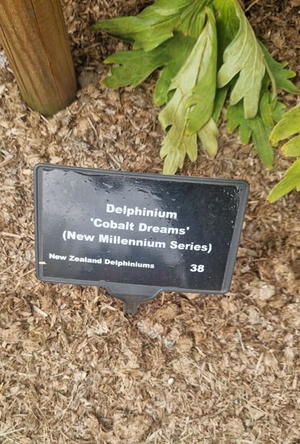  - RHS Wisley