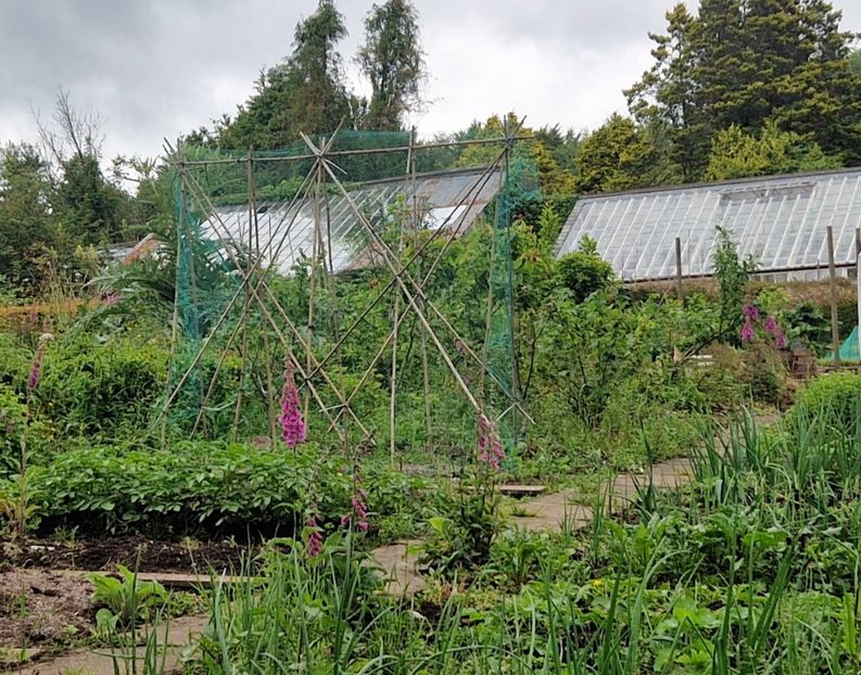  - Lukesland Gardens and Tea Room