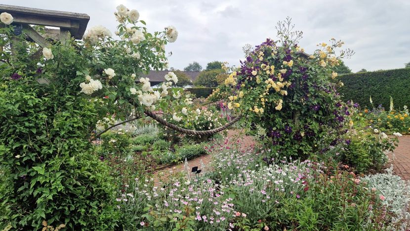 - RHS Rosemoor