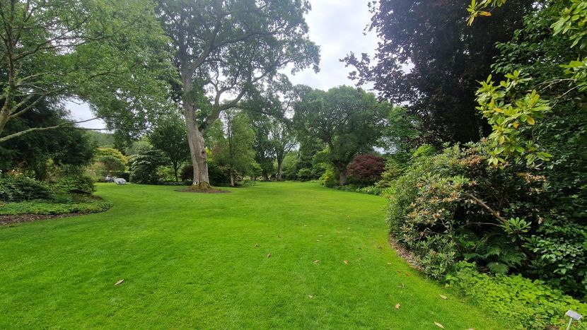  - RHS Rosemoor