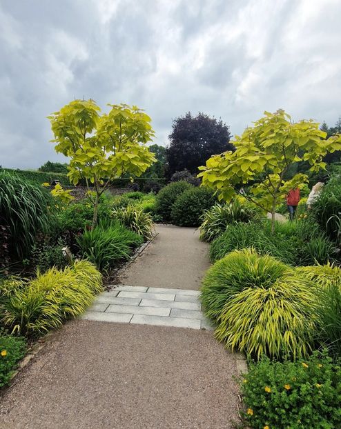  - RHS Rosemoor