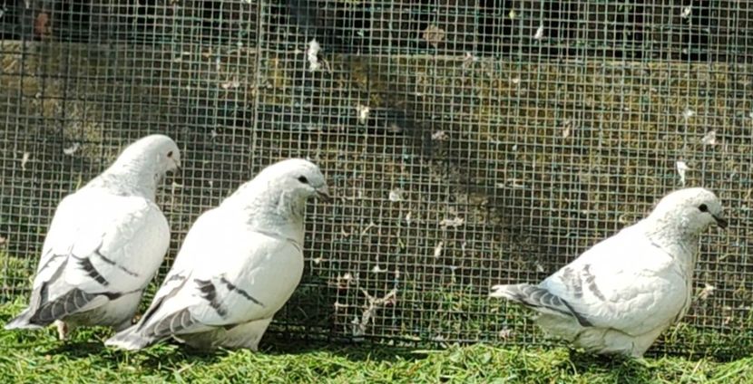  - 2- AKTUALNE -of the moment