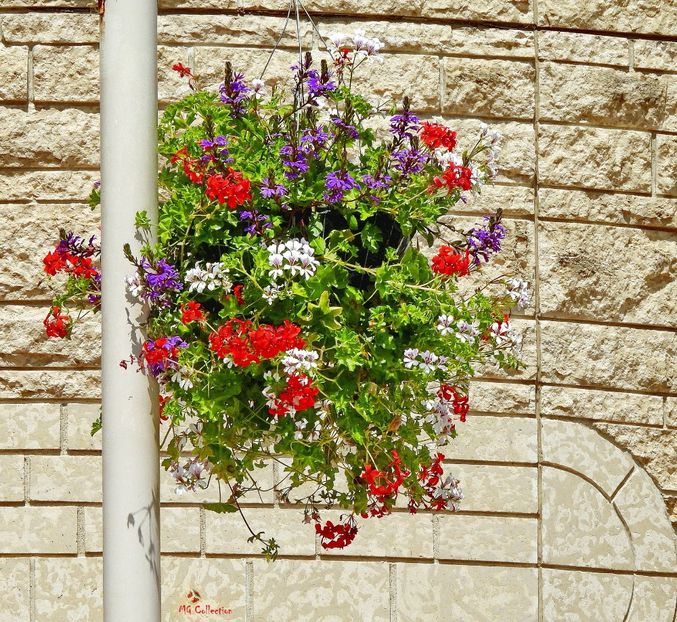Flowers Deco in Gatineau, QC - E - FLOWERS - Flori