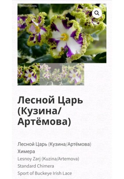 Poza net - Lesnoy Zarj chimera