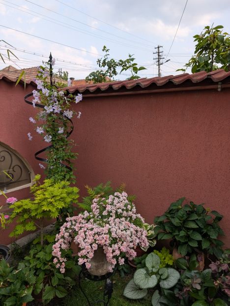 PXL_20250611_145817771 - Cutie Pie