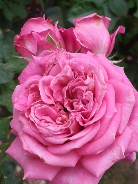  - Agnes 2021 - 2022-2023