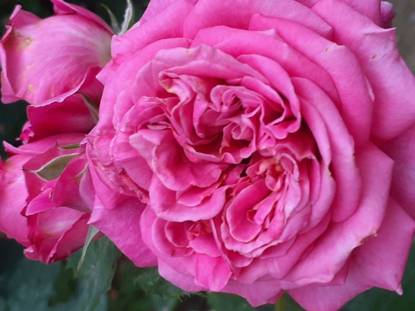  - Agnes 2021 - 2022-2023