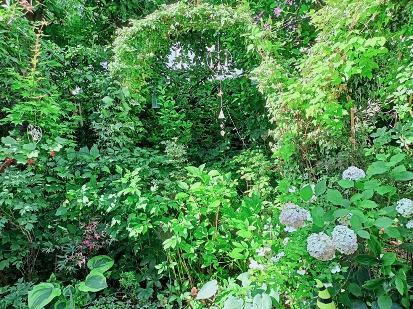  - Grădina 2025 continuare 4