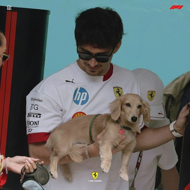 ˓‘jun♥28ᵗ̣ʰ̣’˒ ﮩCharlesḶẸC̣¹⁶.⠀ ‹ᴉɹ̅ɐ̅ɹ̅ɹ̅ǝ̅ꓞ› - museum of sweet memories