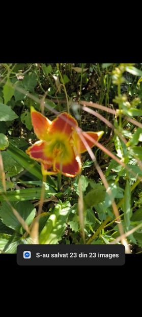 Screenshot_2025-07-01-18-08-08-53_be80aec1db9a2b53c9d399db0c602181 - Anul 2025