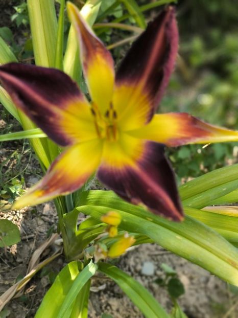 Messenger_creation_7DA093D3-68B0-4DB0-83B6-43DD1CDF46FA - Anul 2025