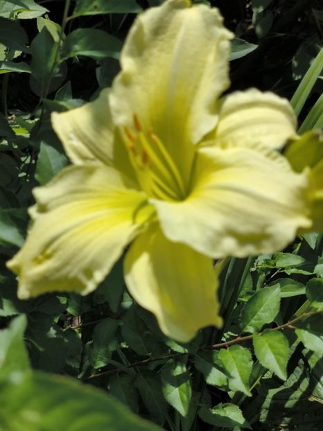 Messenger_creation_387B30CA-96E0-44D9-85EA-439CF633BB64 - Anul 2025