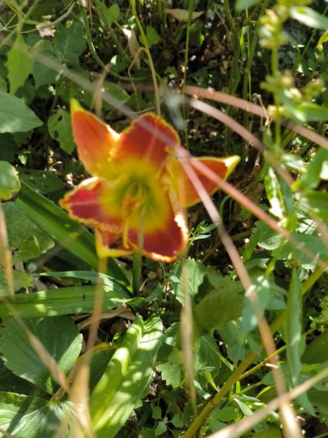 Messenger_creation_8E63DED0-B933-4EEA-83C5-F567A6141358 - Anul 2025